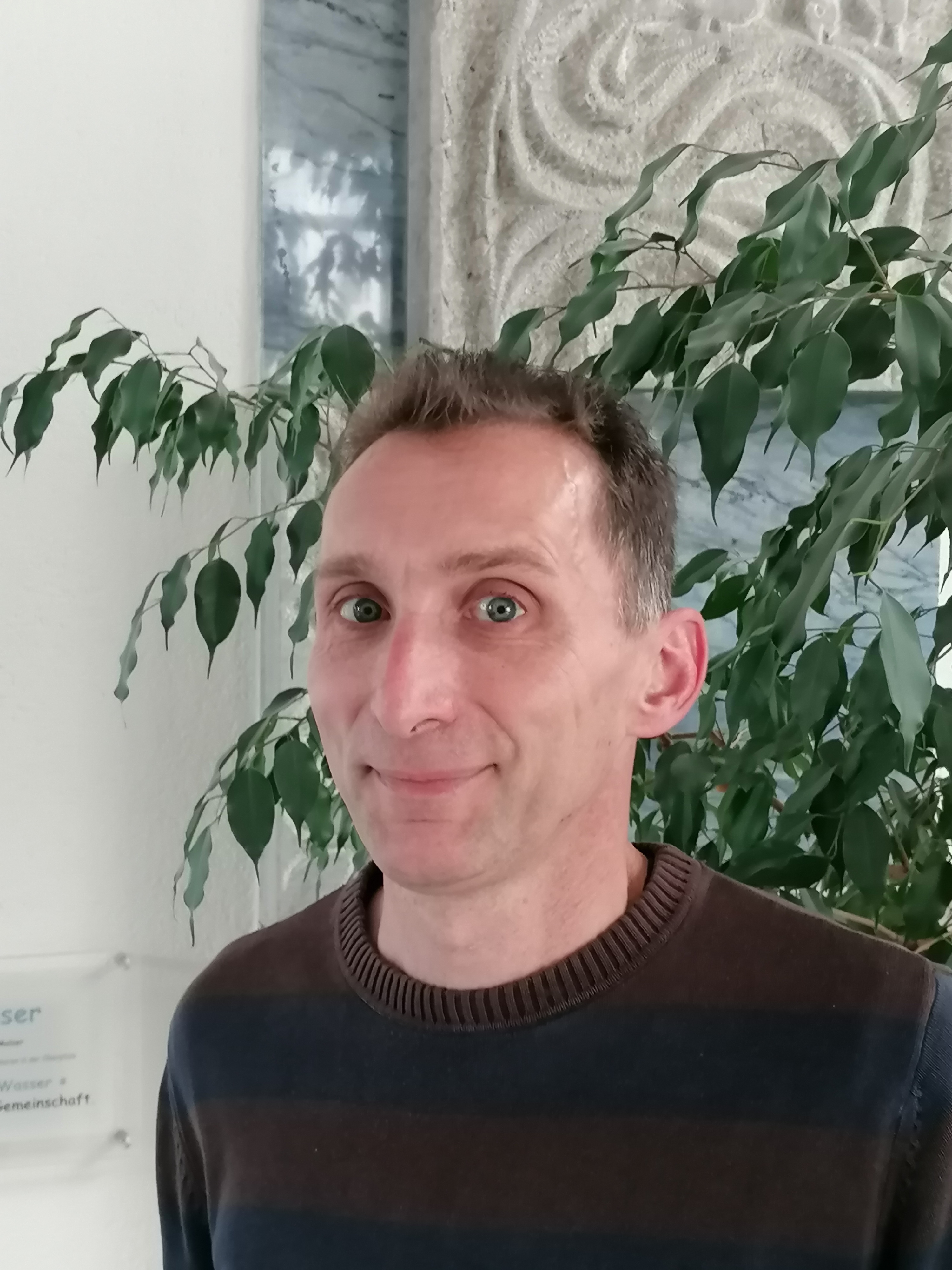 Ferner Spingler verkleinert